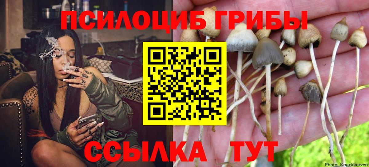 Псилоцибиновые грибы мухоморы Воркута