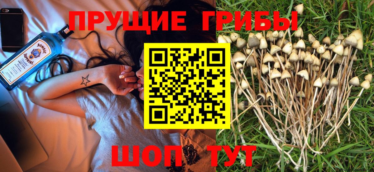 Воркута  Псилоцибиновые грибы мухоморы  Вход с VPN 